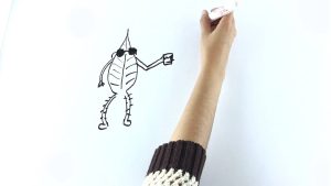 Higgs 3: Salvia Blanca