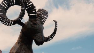 60 Aniversario: el Cimarrón como símbolo de la Universidad.