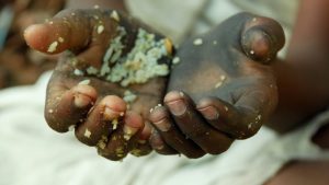 502 Food, Health and Enviroment - Vitamin C